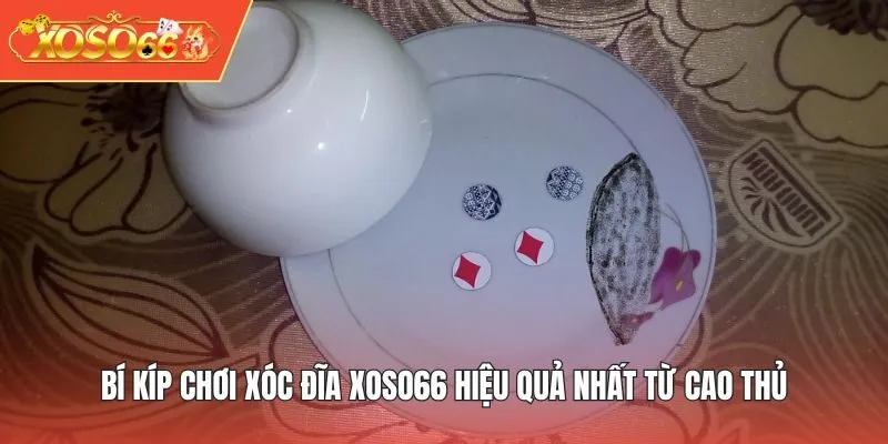 Bí kíp chơi Xóc Đĩa XOSO66 hiệu quả nhất từ cao thủ