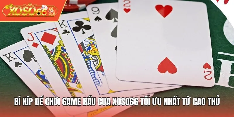 Bí kíp để chơi game Bầu Cua XOSO66 tối ưu nhất từ cao thủ