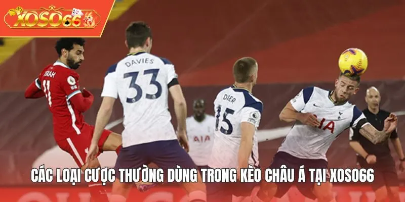 Các loại cược thường dùng trong kèo châu Á tại XOSO66