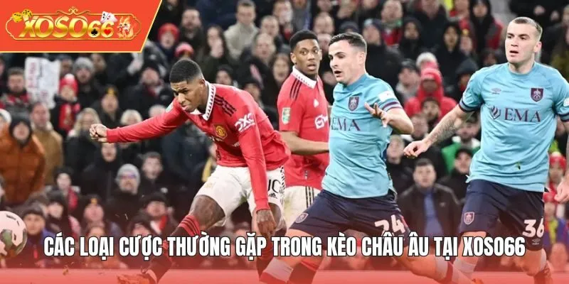 Các loại cược thường gặp trong kèo châu Âu tại XOSO66