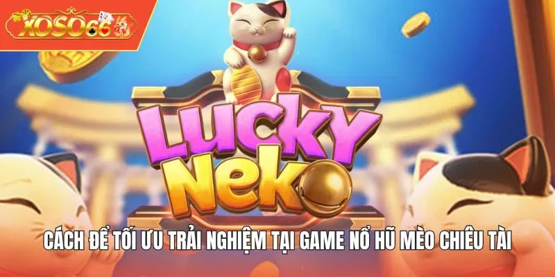 Cách để tối ưu trải nghiệm tại game Nổ Hũ Mèo Chiêu Tài