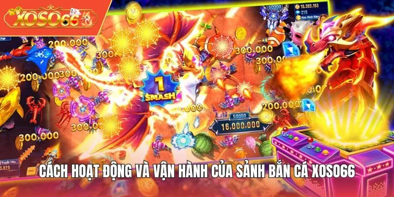 Cách hoạt động và vận hành của sảnh Bắn Cá XOSO66