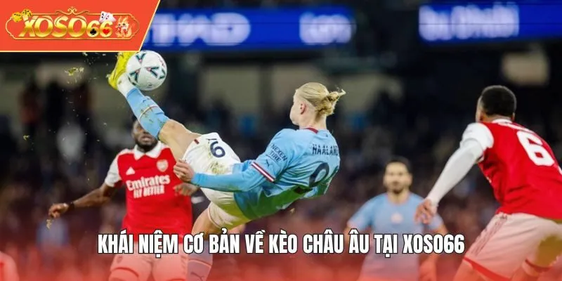 Khái niệm cơ bản về kèo châu Âu tại XOSO66