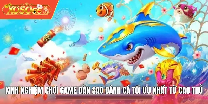 Kinh nghiệm chơi game Dàn Sao Đánh Cá tối ưu nhất từ cao thủ