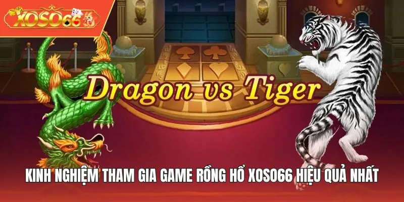 Kinh nghiệm tham gia game Rồng Hổ XOSO66 hiệu quả nhất