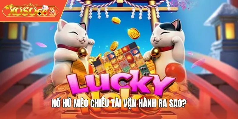 Nổ Hũ Mèo Chiêu Tài vận hành ra sao?