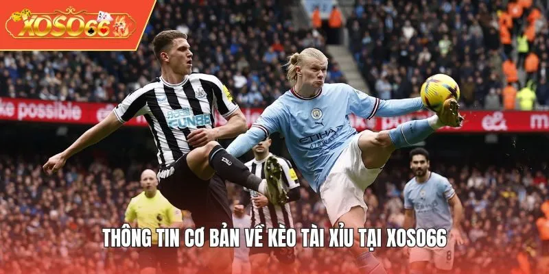 Thông tin cơ bản về kèo tài xỉu tại XOSO66