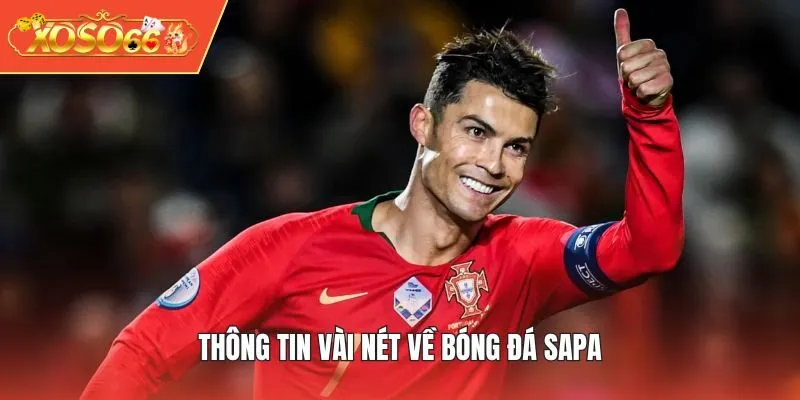 Thông tin vài nét về Bóng Đá SAPA