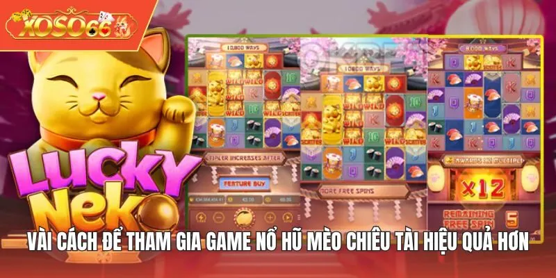 Vài cách để tham gia game Nổ Hũ Mèo Chiêu Tài hiệu quả hơn